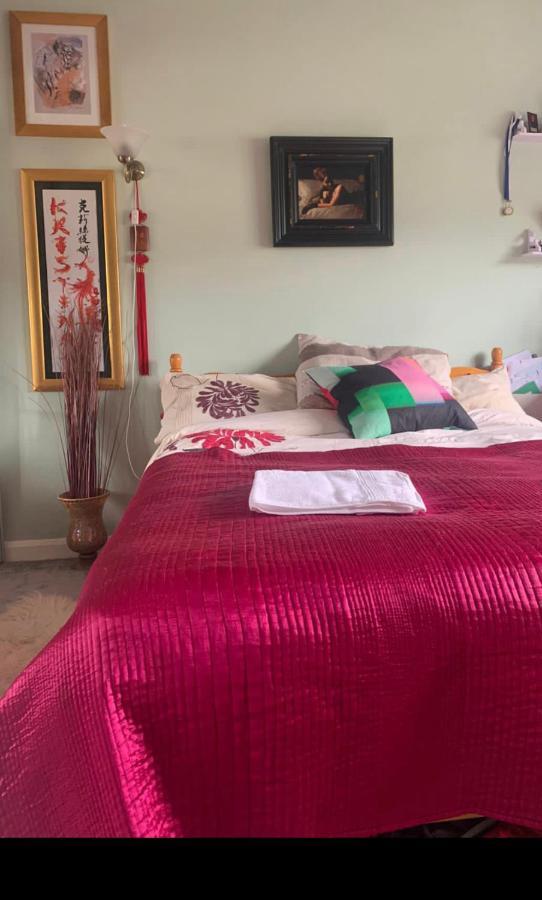 Cosy Room In London Wembley Exterior foto